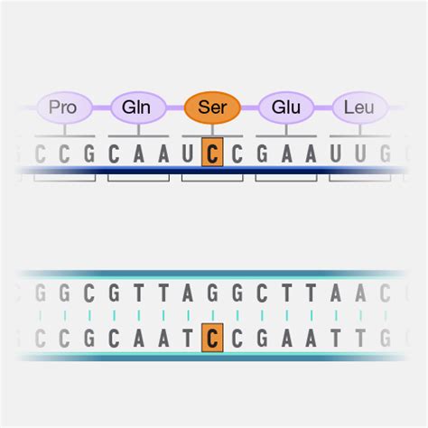 Missense Mutation