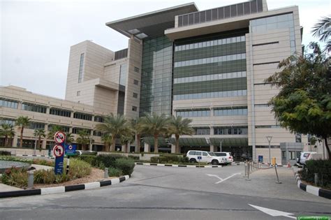 Top 5 Best Hospitals in Dubai - Limitless Valley