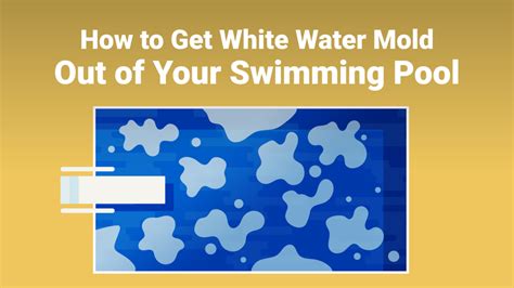 How to Get White Water Mold Out of Your Swimming Pool – PoolPartsToGo