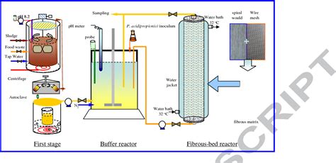 Improved production of propionic acid driven by hydrolyzed liquid ...