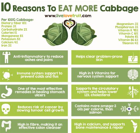 Cabbage Nutrition - Taka Vegetable