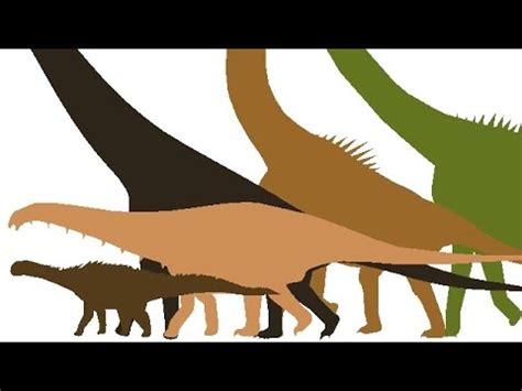 Sauropod Size Comparison - YouTube