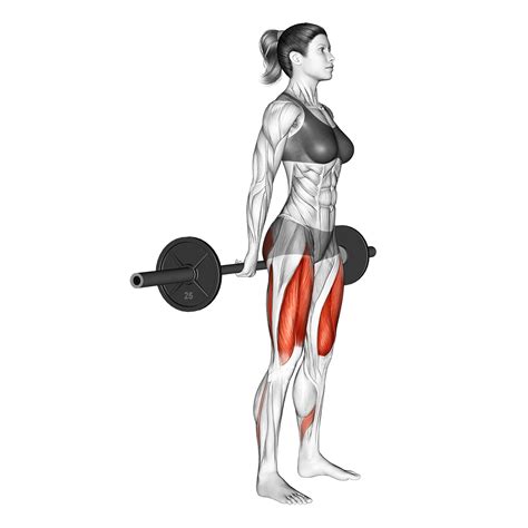 Barbell Hack Squat: 4 Major Benefits and Muscles Worked - Inspire US