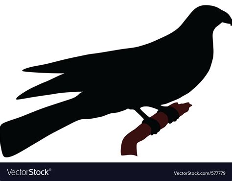 Falcon silhouette Royalty Free Vector Image - VectorStock