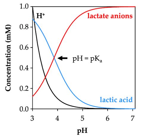 Life | Free Full-Text | Lactic Acid Permeability of Aquaporin-9 Enables ...