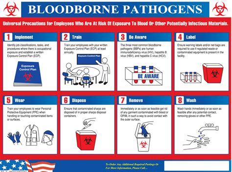 Printable Bloodborne Pathogens Poster - Printable Word Searches