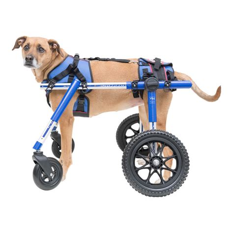 Dog Wheelchair of 2018 - Products for Handicapped & Disabled Pets ...