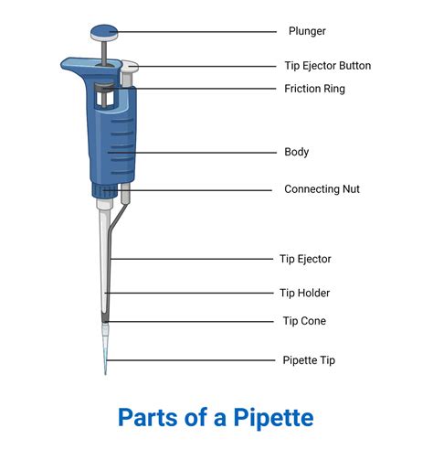 Pipette- Principle, Parts, Types, Procedure, Uses, Examples, 59% OFF