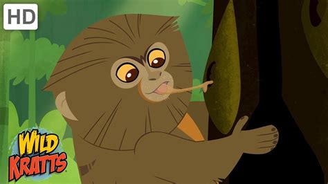 Searching for Mini Monkeys | Wild Kratts - YouTube