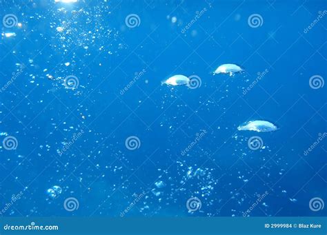 Oxygen bubbles stock photo. Image of molecular, ocean - 2999984