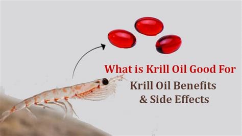 What is Krill Oil Good For ? Krill Oil Benefits and Side Effects