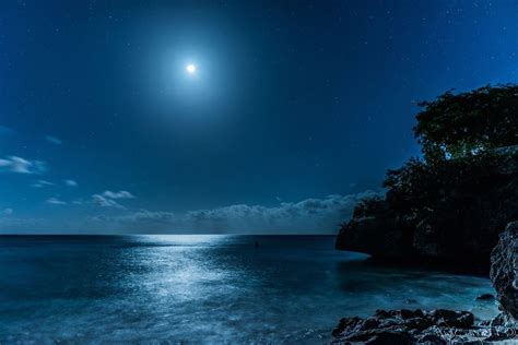 full moon, water, night, moon, beauty in nature, scenics - nature ...