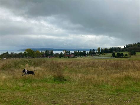 The Best Whidbey Island Hikes – Top Left Adventures