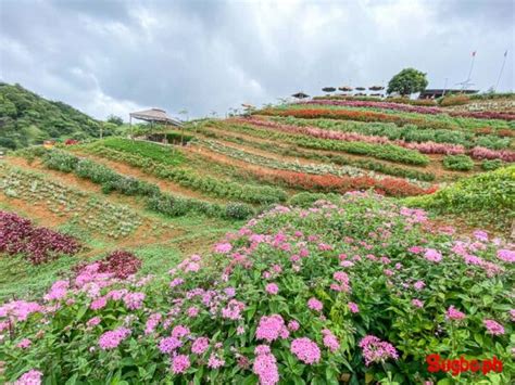 10 MUST-VISIT Attractions in Balamban, Cebu