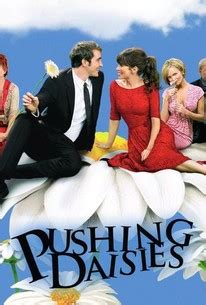 Pushing Daisies: Season 2 | Rotten Tomatoes