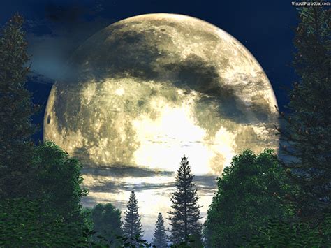 Visual Paradox Free 3D Wallpaper 'Forest Moon' multiple wallpaper sizes