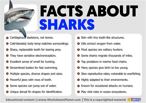 Facts about Sharks