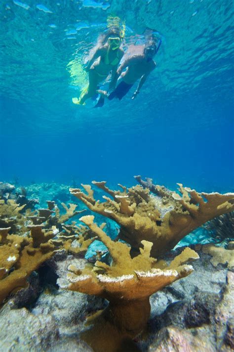 Bring your spouse and snorkel the waterways of the Florida Keys! # ...