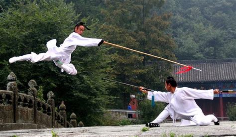 Wudang martial arts Wudang Mountains, Types Of Martial Arts, Shaolin ...