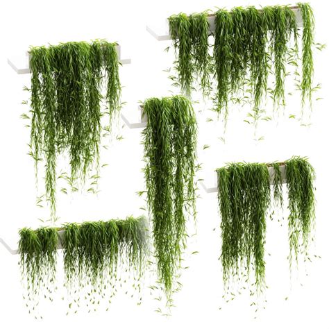 Hanging plants for shelves 5 models set 3 3d model for vray corona ...