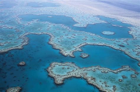 Overhead view of the great barrier reef, Queensland, Australia image ...