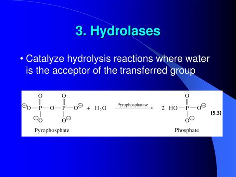 PPT - Properties of Enzymes PowerPoint Presentation, free download - ID ...