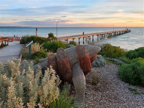 Seaford Beach and Pier, Attraction, Mornington Peninsula, Victoria ...