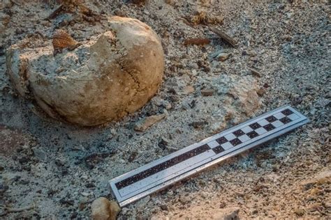 2000-Year-Old Human Skeleton Found On Famed Shipwreck | HuffPost