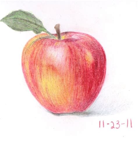 Apple Shaded Drawing