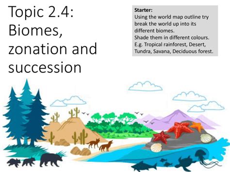 Biomes Zonation and Succession