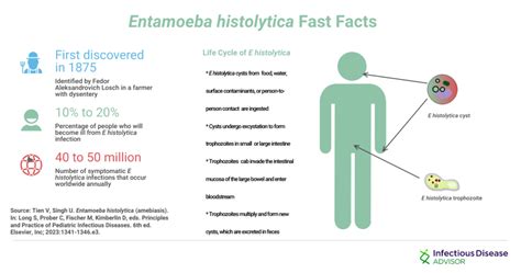 Entamoeba Histolytica - Infectious Disease Advisor