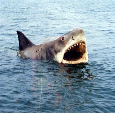 Jaws (1975)