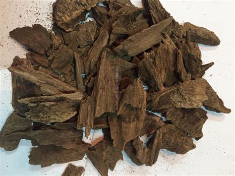 Oud wood or Agarwood - What is it? - OUD WOOD AGARWOOD KINAM