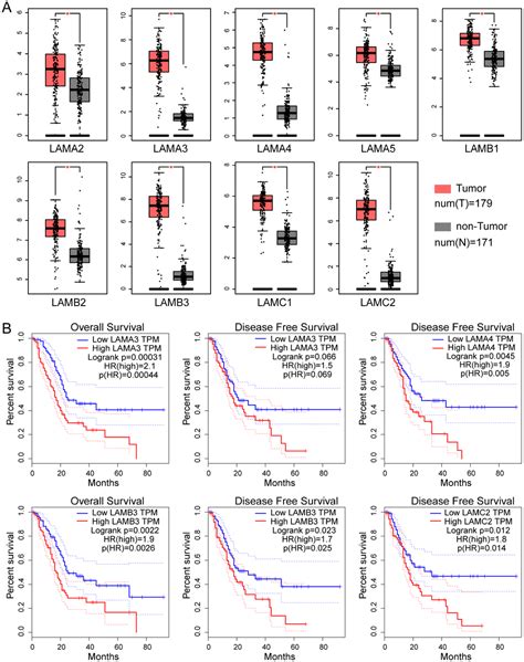 Evaluation of the diagnostic ability of laminin gene family for ...