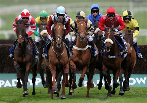 Horse Racing Wallpapers - Top Free Horse Racing Backgrounds ...