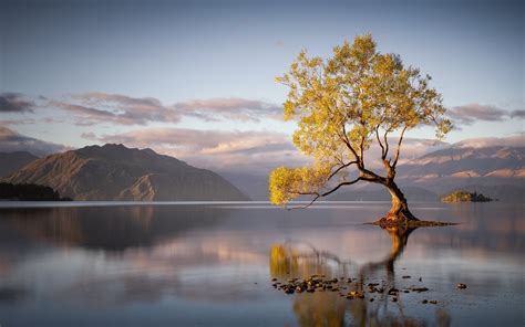 landscape, Nature, Sunrise, Lake, Trees, Mountain, Water, Clouds ...