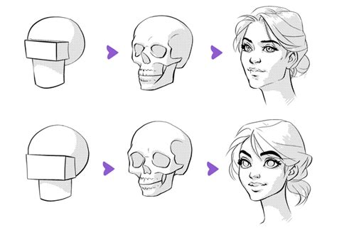 How To Draw Different Face Shapes - Wearsuit12