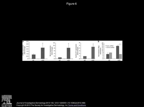 The IL-6 Trans-Signaling-STAT3 Pathway Mediates ECM and Cellular ...