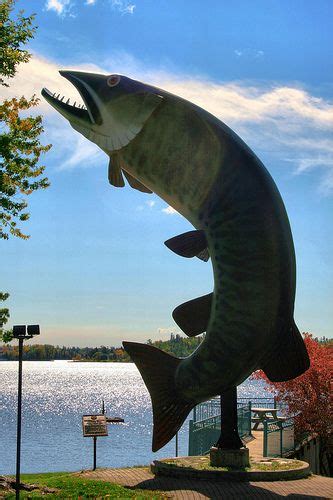 Husky, the Muskie, Kenora, Ontario, Canada - p2323e | Street art ...