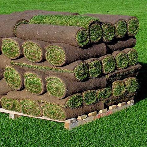 Kentucky Blue Grass SOD 20" x 40" #9901 | Ohio Mulch