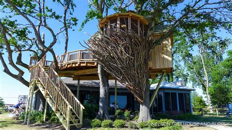 #treehousefriday: Bird's Nest — Nelson Treehouse