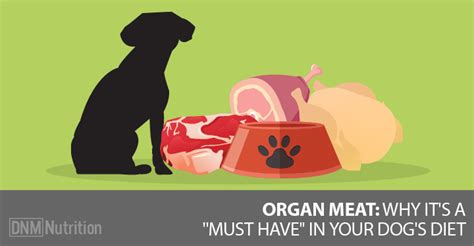 Why Organ Meat Is Important For The Raw Fed Dog - Dogs Naturally