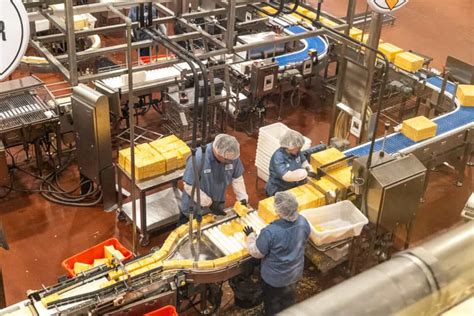 Tillamook Cheese Factory Tour: This is What You Need to Know | The ...