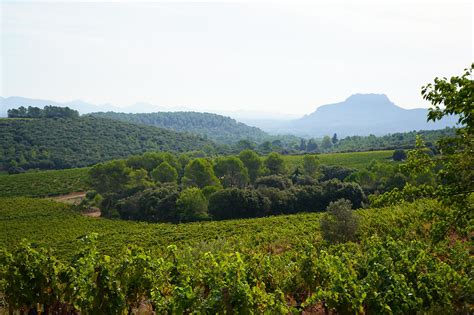 Provence wine tours | Grape Tours | from Nice