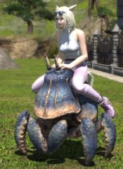 Big Shell (Mount) – Gamer Escape: Gaming News, Reviews, Wikis, and Podcasts