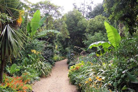 Abottsbury Subtropical Gardens - Visitor Information | Dorset Guide