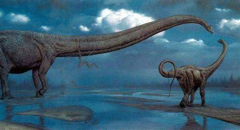 *Seismosaurus (Diplodocus) Artwork by Mark Hallett. | Prehistoric ...