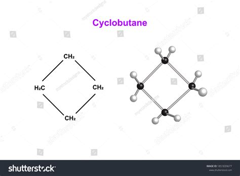 Cyclobutane Chemical Structure Vector Design Illustration Stock Vector ...