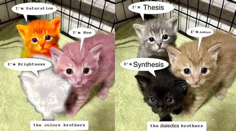 The Kitten Brothers: Image Gallery (List View) | Know Your Meme