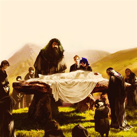 Dumbledore’s Funeral Concept Art | Harry potter illustrations, Harry ...